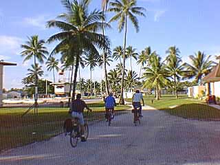 Heading home from the terminal on bikes