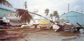 Tropical Storm Roy - 1988