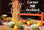 Carver Hill Orchard, Bolten, MA